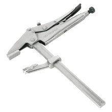Cargar imagen en el visor de la galería, Pinzas de presión, tipo sargento, 8'