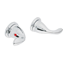 Cargar imagen en el visor de la galería, Juego 2 manerales para regadera, Aero