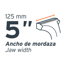 Cargar imagen en el visor de la galería, Tornillos de banco uso industrial, hierro nodular, 5'