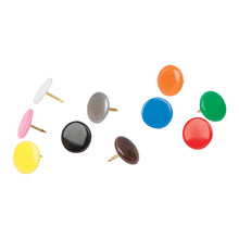 Cargar imagen en el visor de la galería, Chinches, 100 piezas, colores