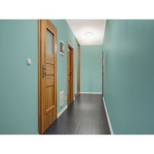 Cargar imagen en el visor de la galería, Luminario de LED de sobreponer tipo plafón, 8W, 600 lm