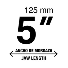 Cargar imagen en el visor de la galería, Tornillos de banco, hierro gris, 5', Pretul