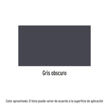 Cargar imagen en el visor de la galería, Pintura (Esmalte acrílico) en aerosol, gris obscuro