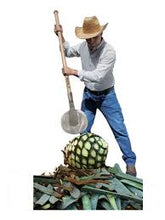 Cargar imagen en el visor de la galería, Coa Agavera con mango de 54&#39;
