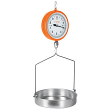 Cargar imagen en el visor de la galería, Báscula mecánica colgante de 10 kg
