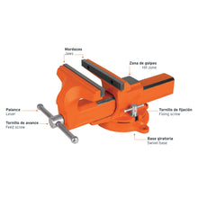 Cargar imagen en el visor de la galería, Tornillos de banco tipo Europeo, hierro nodular, 8&#39;
