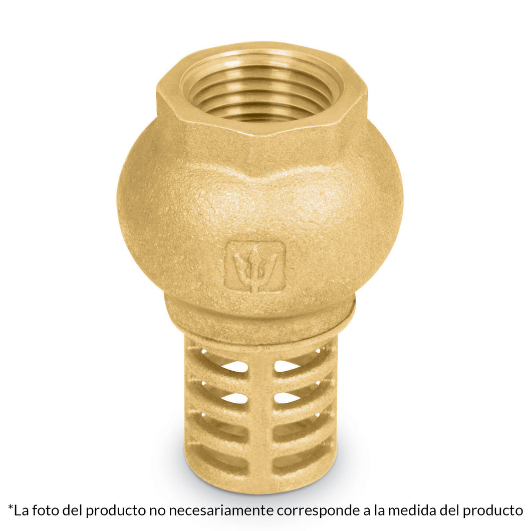 Pichancha con rejilla de latón 1'