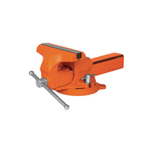 Cargar imagen en el visor de la galería, Tornillos de banco tipo Europeo, hierro nodular, 4&#39;
